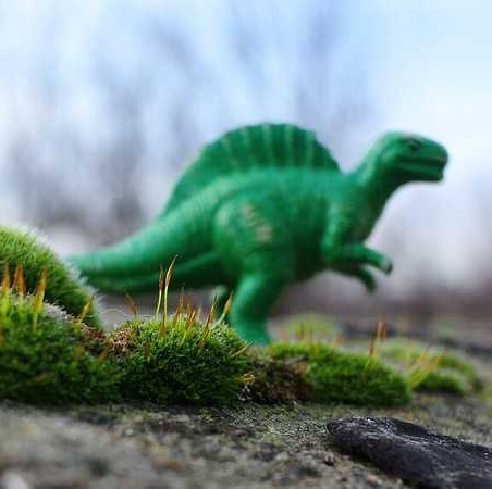 Toy dinosaur in moss