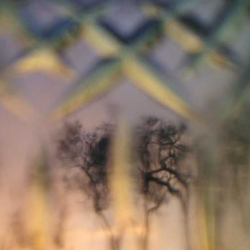 Trees through a glass